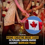 Rising ‘cheating bride’ cases in Punjab; Canada warns against marriage fraud